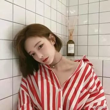 爱情伴侣